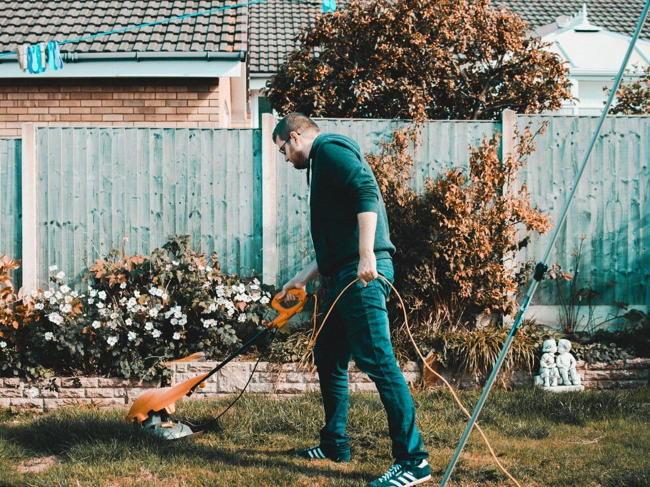 Entretien de jardin : tonte & taille
